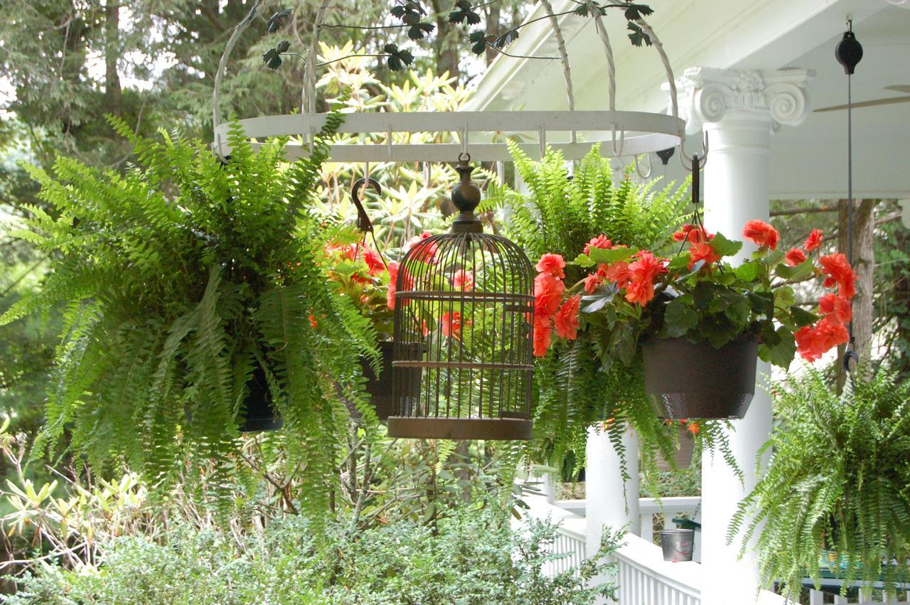 Mountain Laurel Inn Damascus Eksteriør billede